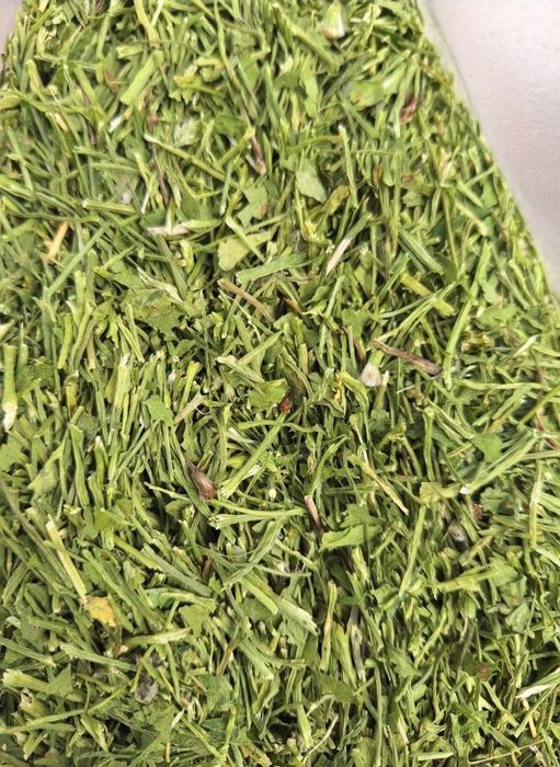 Łodyga pietruszki 10 kg