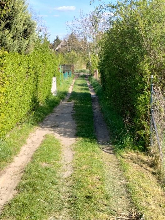 Duża działka ogrodowa ROD w spokojnym miejscu - Widok 4