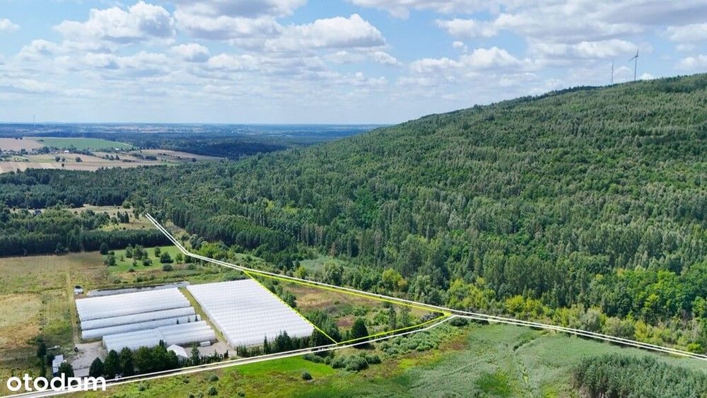 Działka 10900 m2 / warunki zabudowy