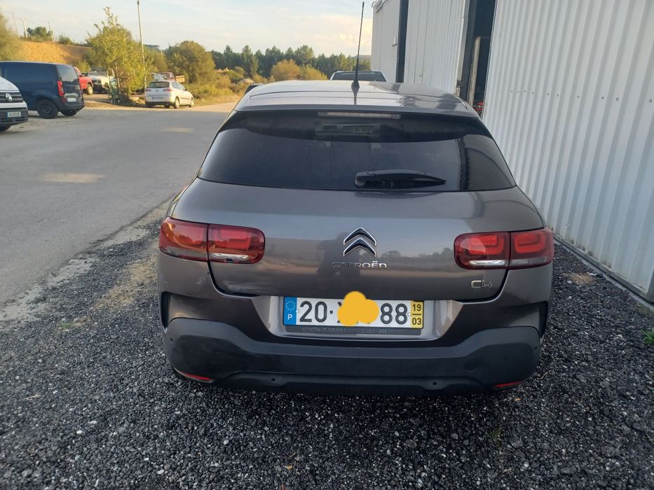 Citroen modelo Catus