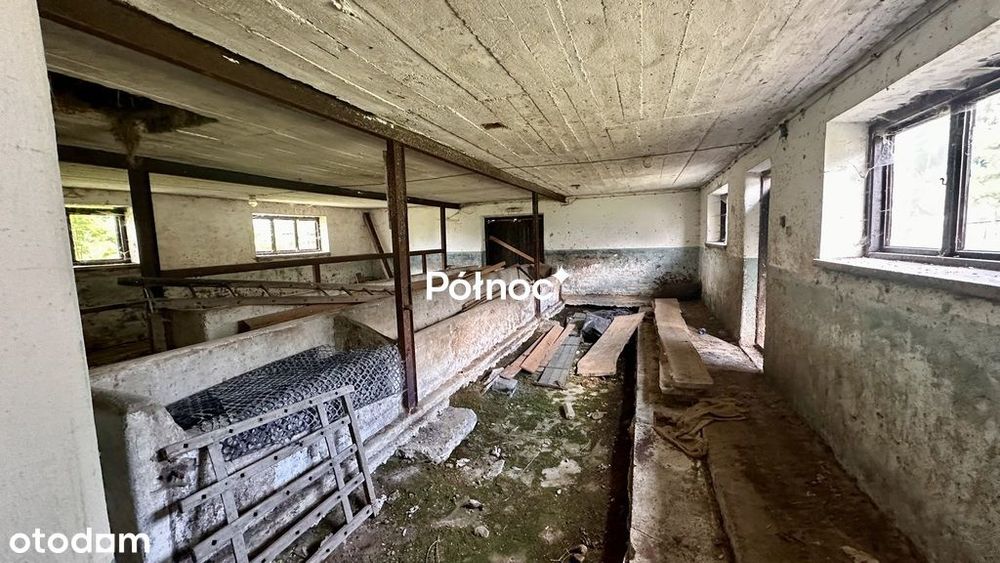 Potężny areał I Chyżne I 2.9ha