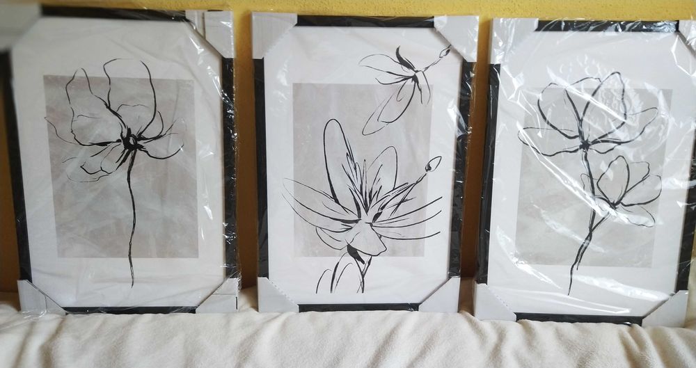 Tryptyk "Kwiaty" -3 obrazy w czarnej ramie, E-druk.