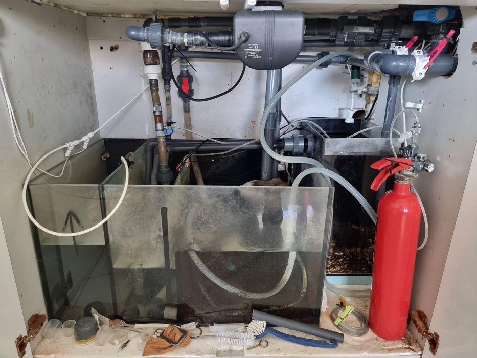 Aquario 140x85x60 mais sump