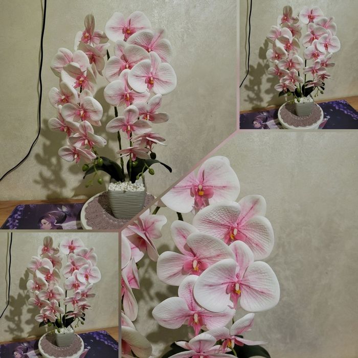 Латекса  орхідеї