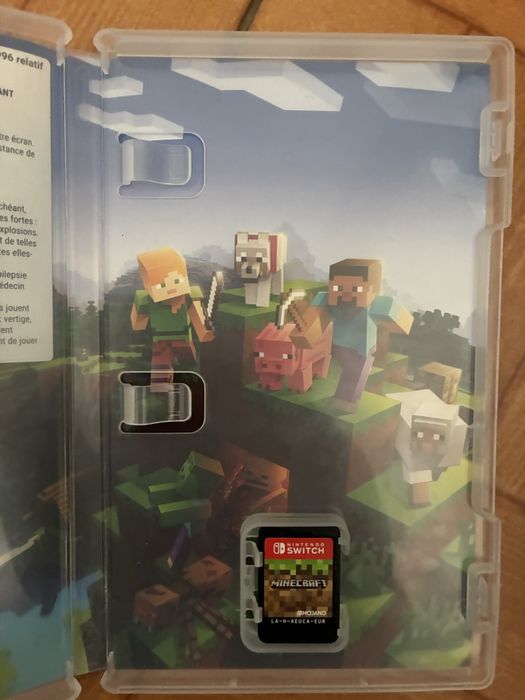 Minecraft switch