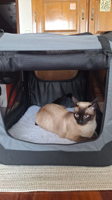 Transportadora Dobrável para Gatos ou Cães Pequenos/Médios – Como Nova