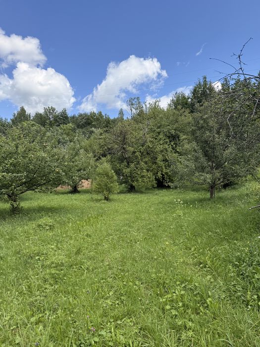 земельна ділянка і старий будинок