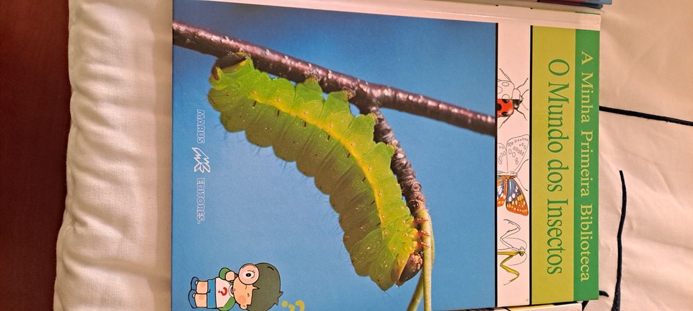 Enciclopédia para crianças