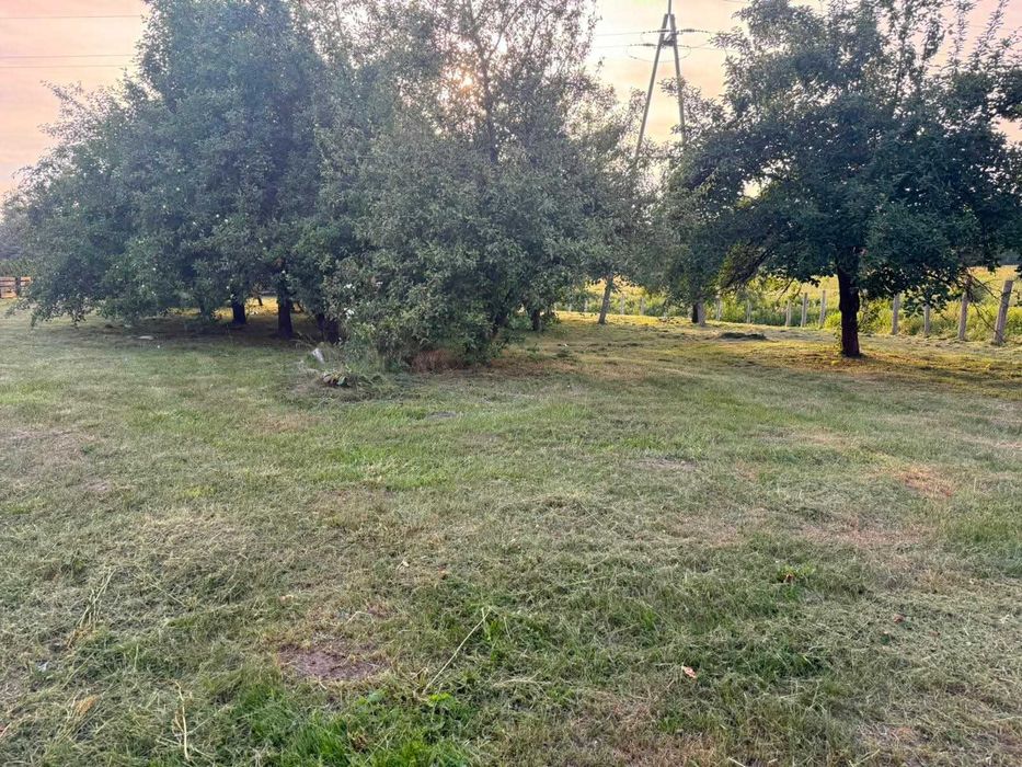 sprzedam działkę Granice - Lubuskie - jezioro - las