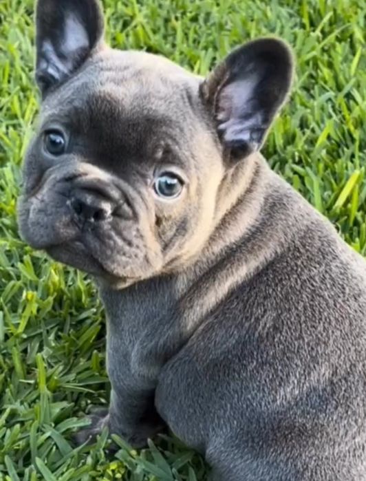 Дівчинка супер якість!