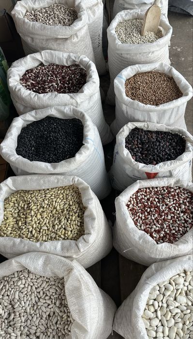 Фасоля,квасоля, бандоля,томатка,чорна,ряба,лимонка,довга,плоска,солдат