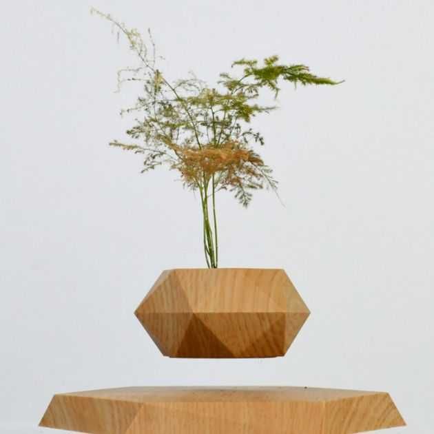 Левитирующий вазон, парящий горшок, левітуючий кашпо з норвежськ мохом