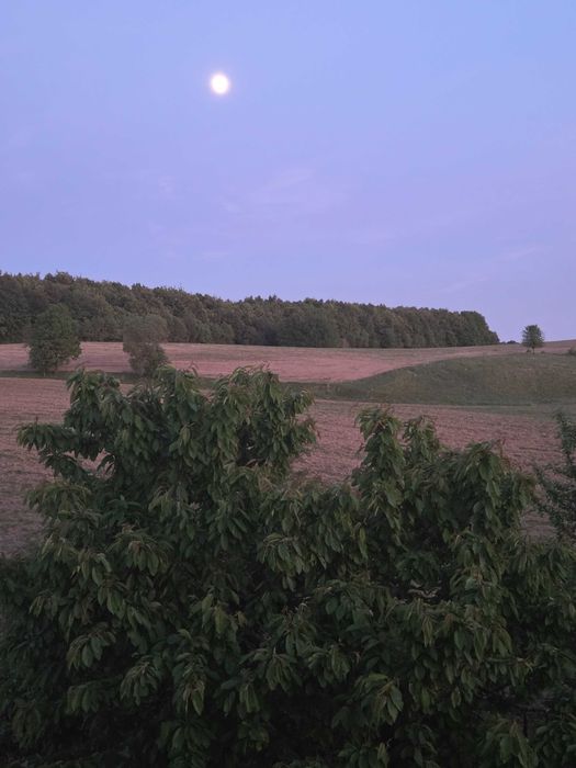 Gospodarstwo rolne- siedlisko