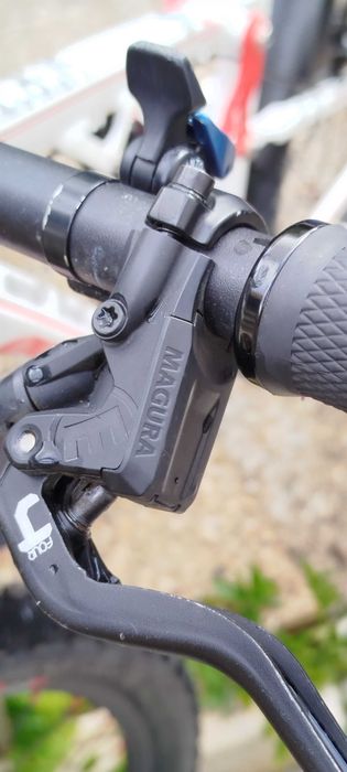 Bicicleta BTT Berg Vertex 100