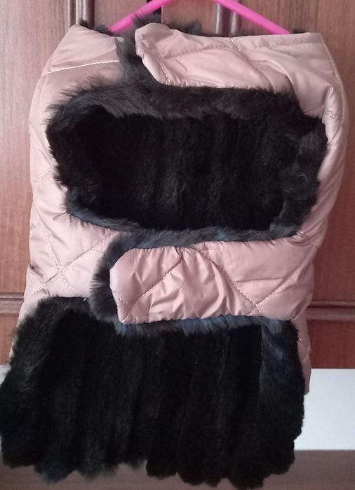 Попона для домашніх тварин