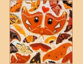 CD TALK Talk - The Colour of Spring