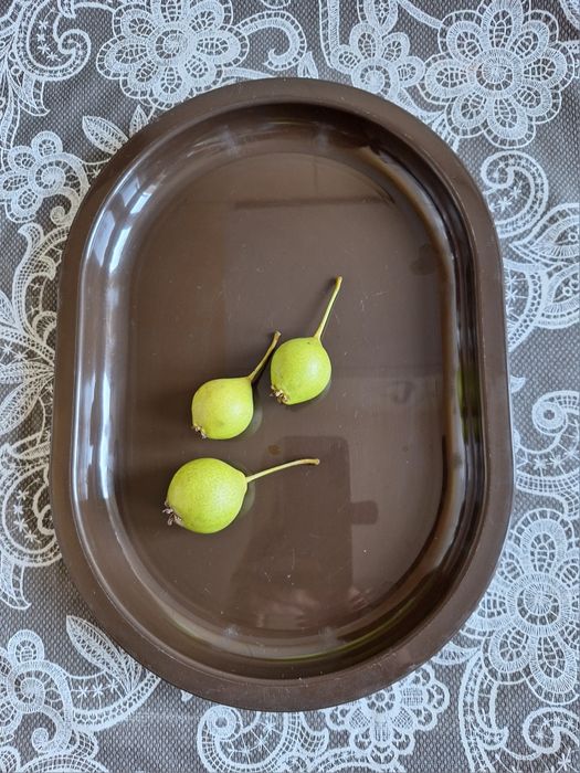 Chlebak, sitko, miska, taca- 4 w 1