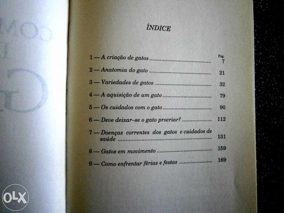 Como tratar do seu gato alimentação, variedades,doenças e tratamento