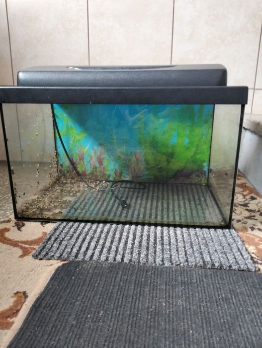 Sprzedam akwarium