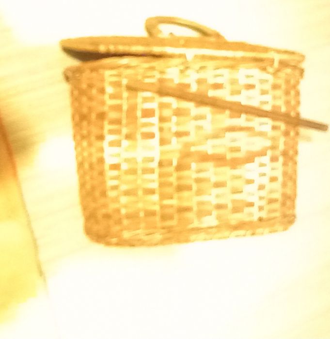 Cesta de transporte