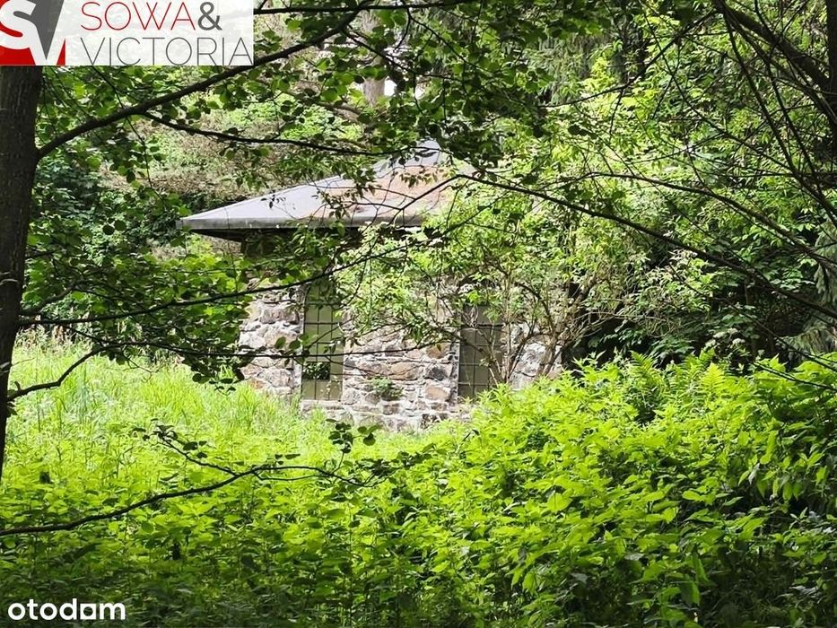Dom bez sąsiedztwa , działka  9300 m 2
