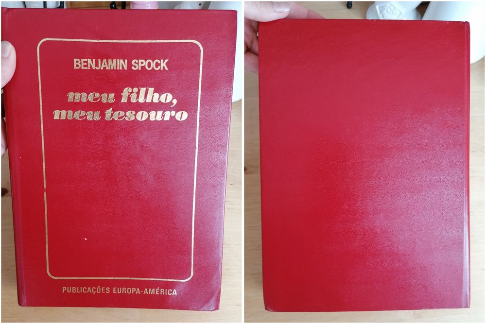 Meu filho, meu tesouro, Benjamin Spock | Grávida, livro instruções