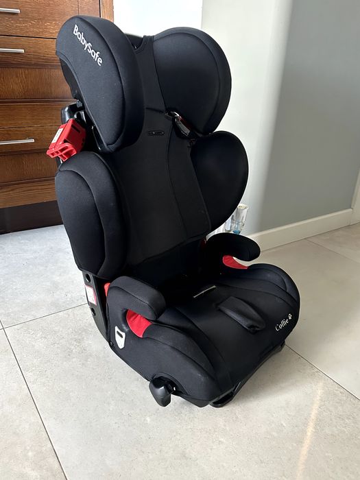 BabySafe Collin - fotelik samochodowy