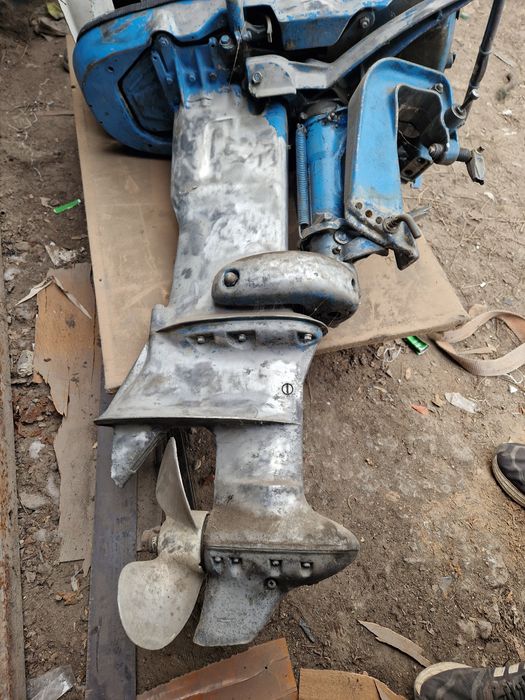 Лодочный мотор Evinrude