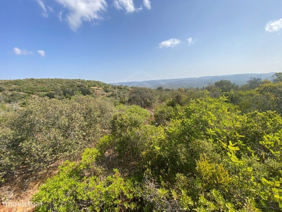 Lote de Terreno Rústico no Serro dos Passarinhos, Loulé, Algarve