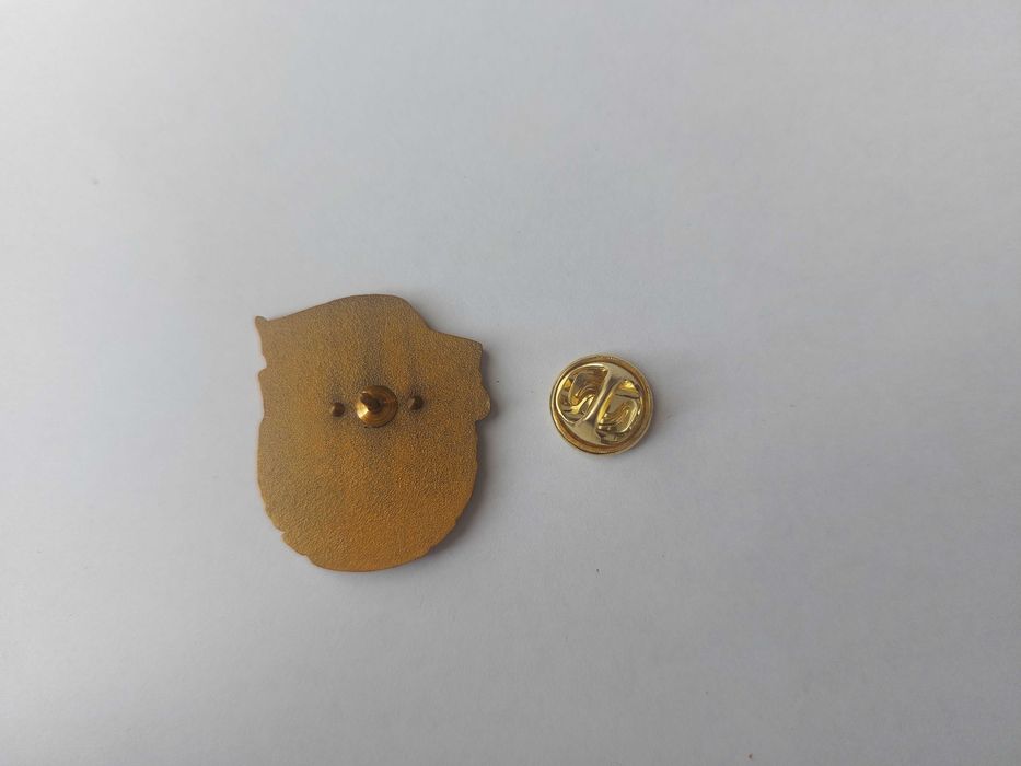 Значок-брошь с надписью Д Н Р