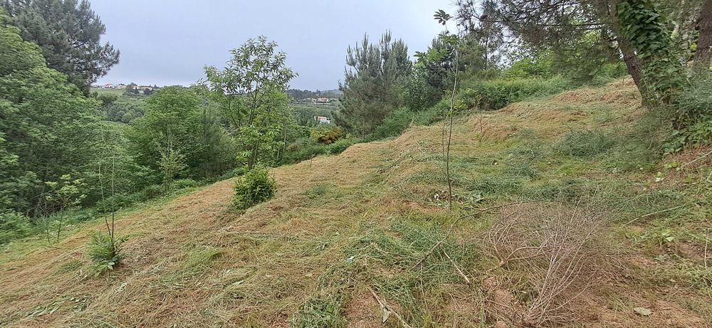 Prestação de serviços