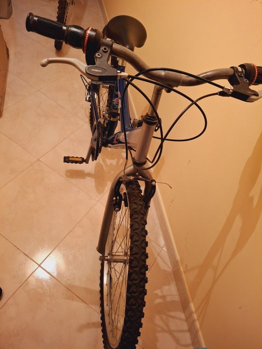 Bicicleta aduto 20'