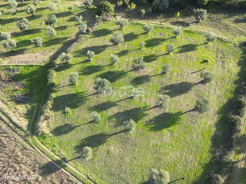 Terreno Agrícola em Grijó de Parada