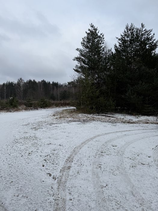 Sprzedam działkę Rydzynki/Tuszyn/Zofiowka