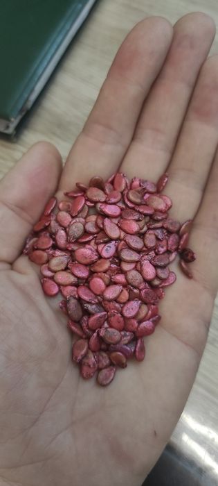 Семена арбуза Геракл (Китай)