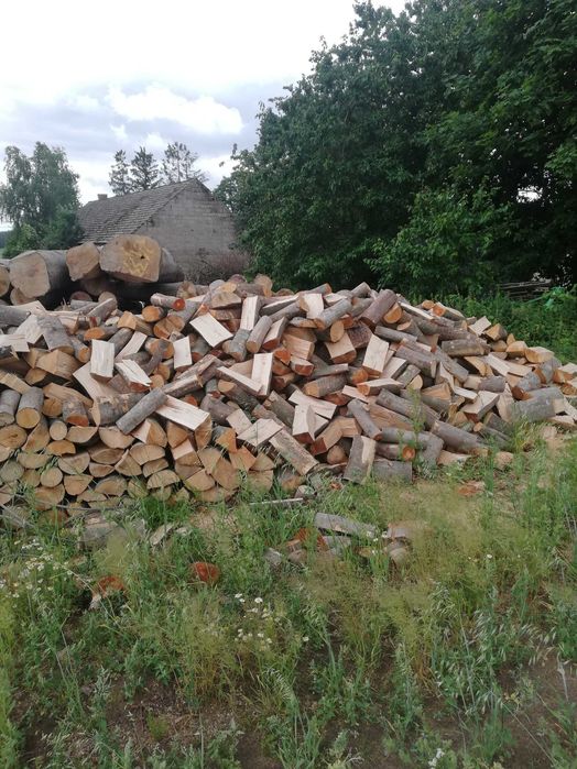 Drewno kominkowe buk dąb brzoza oraz świerk i sosna