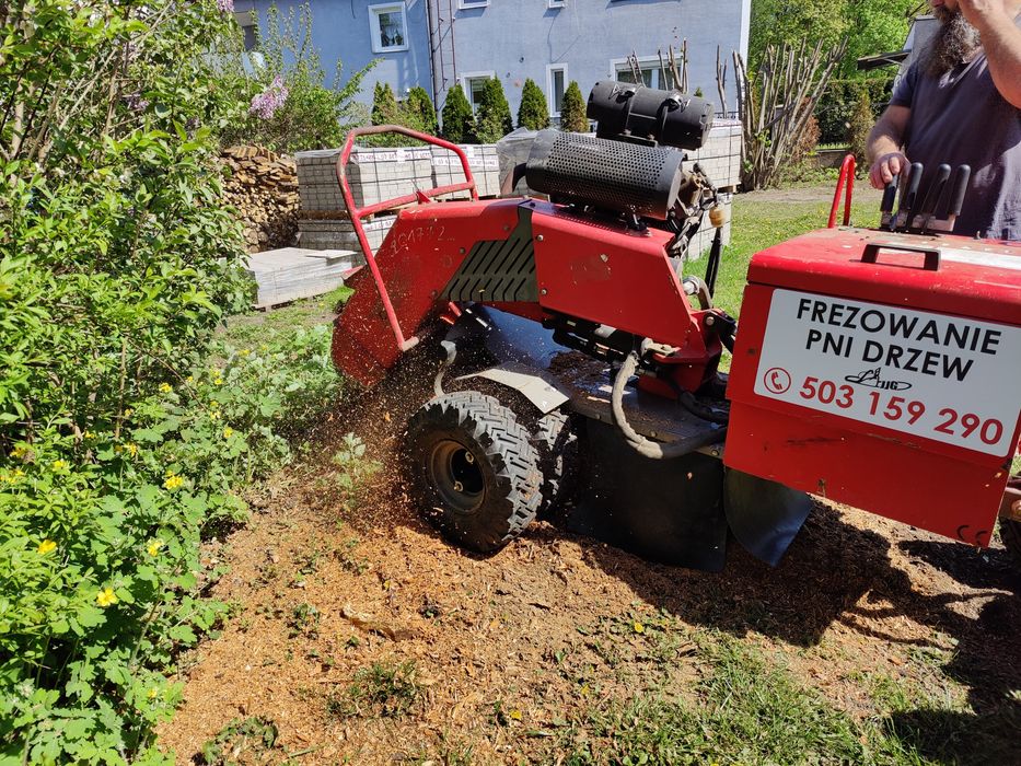 Frezowanie pni, usuwanie karp, korzeni, usługi frezarką, karczowanie