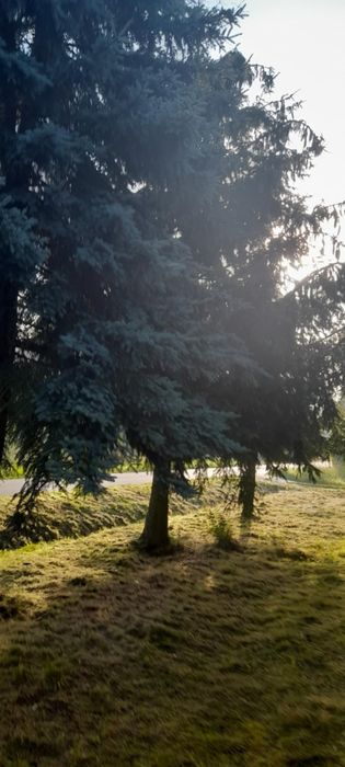 Zamiana domu na bloki sprzedaż