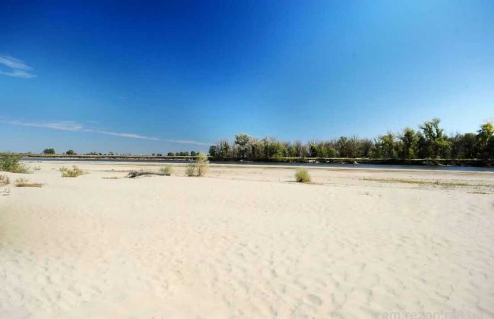 18 Га на березі Десни (півостров) біля с.Пірнове в 30 км від Вишгорода