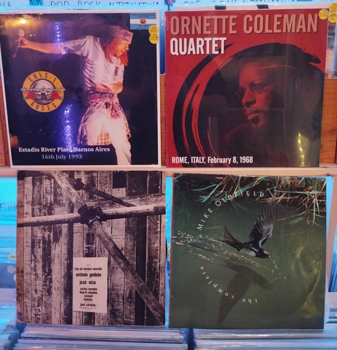 Vinil Zappa Doors Violent Femmes waterboys  Eno Queen Delfins,