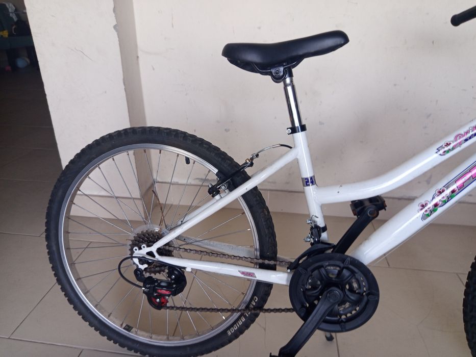 Duas bicicletas impecáveis