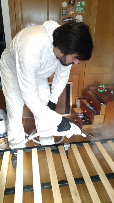 Desinfestações 24h