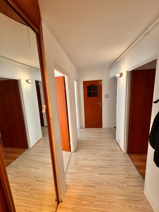 Mieszkanie Skalników