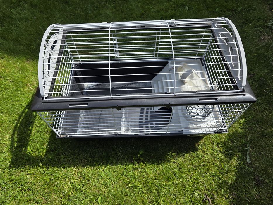 Klatka dla świnek morskich