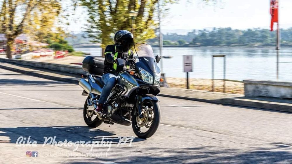 Suzuky v strom 1000