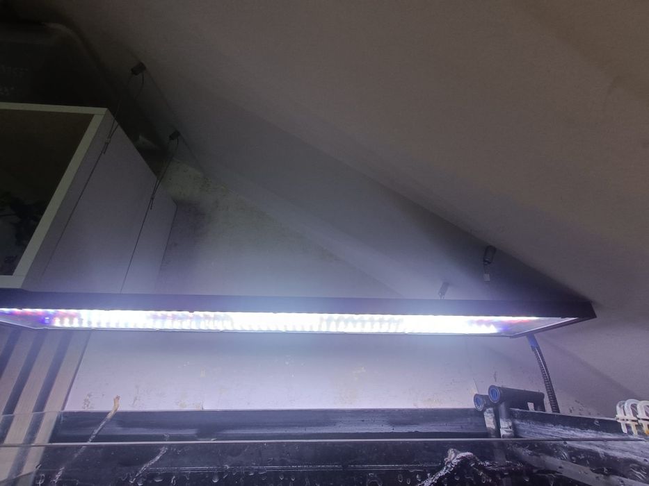Lampa LED nad akwarium