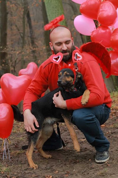 MUMIN - 1,5-roczny, łagodny i czuły wobec ludzi. [FILMIKI}