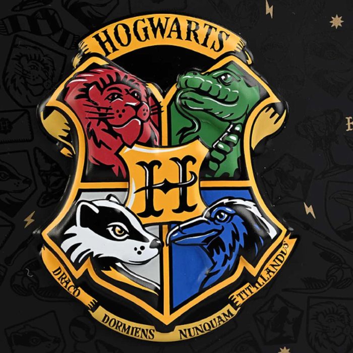 Шкільний дитячий рюкзак Гаррі Поттер Harry Potter для хлопчика