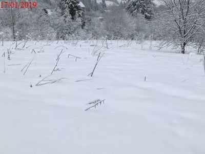 Продаж земельної ділянки (25 сот.) с.Орявчик Львівська обл. 29500$