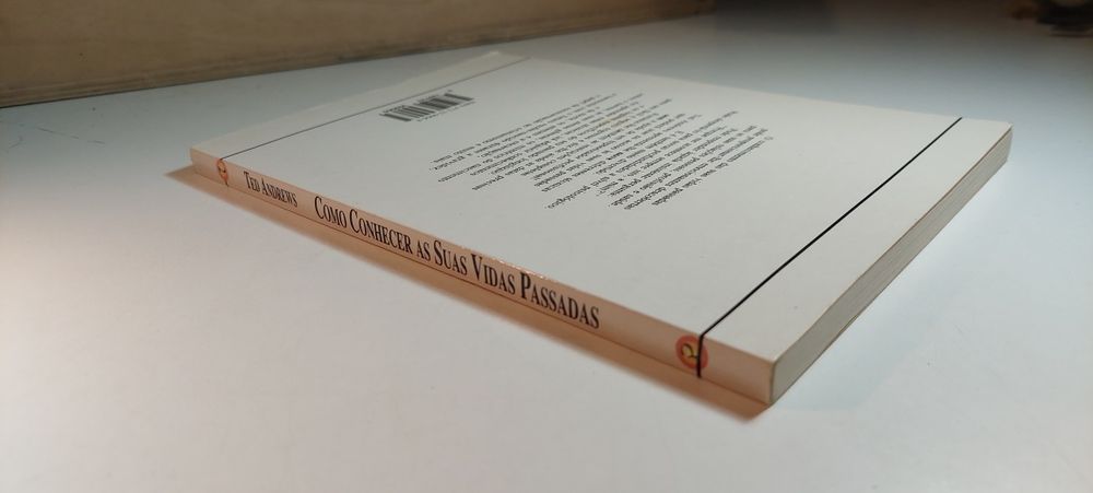 Como Conhecer as suas Vidas Passadas - Ted Andrews